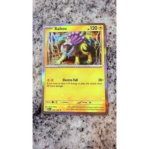 Raikou Holo Pokémon Card 048/132